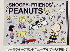 Item thumbnail for item 9d2a62e9-cccf-4125-a62e-a87cc3480335