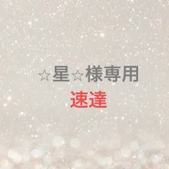 ⭐︎星⭐︎様専用