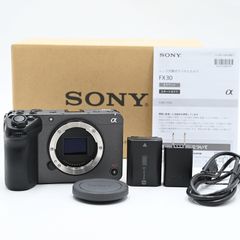 SONY ILME-FX30 Professional Camcorder (35 languages) (1 shot count) Mirrorless SLR Camera [Used]