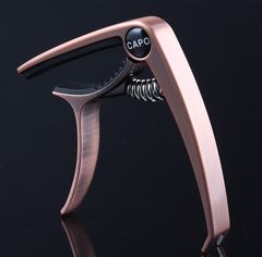 Item thumbnail for item 8ed1988a-e4fa-40f5-a14a-08e5ae9fea83