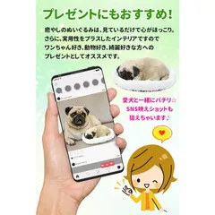 【癒やしの愛らしさ】リアルなパグ ぬいぐるみ 犬 おもちゃ 26x18cm 表情豊かな目と柔らかい触り心地 全犬種に最適 寝具にも ギフトにも