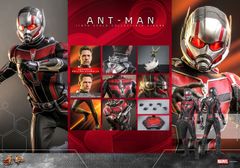 ホットトイズ　アントマン ワスプ セット 遂にMCUフェーズ5開幕！マーベル最新作『アントマン＆ワスプ：クアント