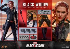 新品未開封 トイサピ限定 ホットトイズ アルチザン ブラック・ウィドウ