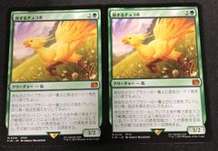 ヴァンガード バーンブレイバーン ブラントゲート デッキ まとめ売り