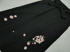 Item thumbnail for item a3a98ab6-916a-4fee-b7ae-0d1e24347d15