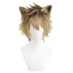 Bucchi 耐熱 Ruggie 変装用 茶色 耳付き ウィッグ コスチューム小物 パーティー コスプレ 仮装 ハロウィン ラギー・ブッチ お祭り イベント LAOBAO cosplay wig
