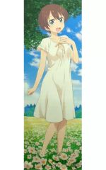 [중고] 태피스트리 시노다 시작 등신대 태피스트리 [NEW GAME!] 갓츄야 한정