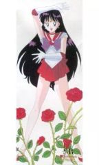 [Used] Tapestry: Sailor Mars Tapestry from "Pretty Guardian Sailor Moon R"