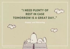 [중고] 포스터 A3 포스터 컬렉션 스누피 & 우드 스톡 (오두막 위) [이치 반 쿠지 PEANUTS ~Happy and Relaxing~] F상