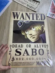 金猫 ONE PIECE サボ 手配書