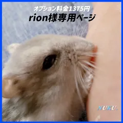 rion様専用ページ グラスハーモニー600カミカミ カジカジ防止ロフト 階段付属