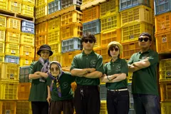 訳あり　和歌山県産　八朔　10kg