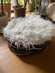 Item thumbnail for item 7e9625fd-6eaf-4281-ba11-13290c84a64b