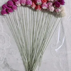 千日紅ドライフラワー　ワイヤー付き30本(小さめ)