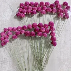 千日紅ドライフラワー　ワイヤー付き60本　(小さめ)