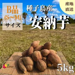 【絶品】種子島産 安納芋B品（S〜Mサイズ）5kg｜箱別