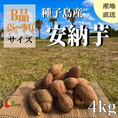 【絶品】種子島産 安納芋B品（S〜Mサイズ）4kg｜箱別