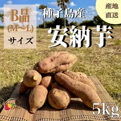 【絶品】種子島産 安納芋B品（M〜Lサイズ）5kg｜箱別