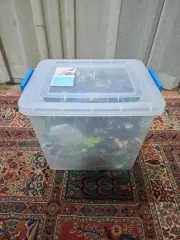 LEGOブロック部品 まとめ売り 在庫整理 (在庫整理箱 含む)