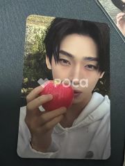 Seventeen ジョシュア セブチ Your Choice M2U ラキドロ - メルカリ