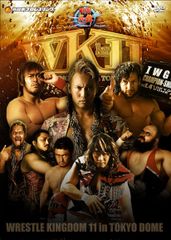 人気‼️新日本プロレス レッスルキングダム14 東京ドーム1.4 1.5 DVD