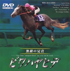 JRA ヒーロー列伝 ビワハヤヒデ B3ポスター 競馬 - メルカリ