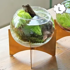 花瓶 フラワーベース インブルーム ガラスボウルベース L ガラス クレエ Creer 92250002 フラワーベース/木/花/フラワー/フラワーグラス/花瓶 ガラス/ガラスベース/シンプル/おしゃれ 置物/北欧/花器/インテリア雑貨/インテリア