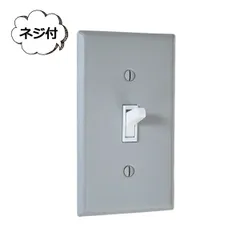 1口スイッチプレート スチールグレー AXCIS アクシス JO219 リノベーション リホーム 施工【取付電気工事必須】