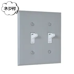 2口スイッチプレート スチールグレー AXCIS アクシス JO220 リノベーション リホーム 施工【取付電気工事必須】