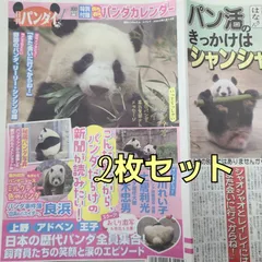 匿名！送料無料！日刊パンダイ2枚セット