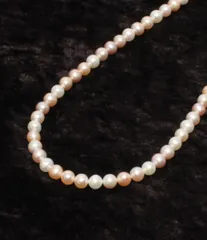 美品 ネックレス SV925 マルチカラーパール 5.5-6.0mm レディース