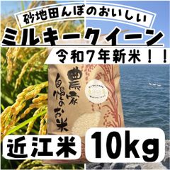 特別栽培米 ミルキークイーン 乾式無洗米 10kg - メルカリ