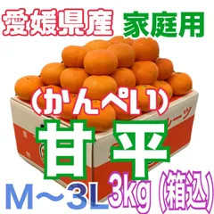 ラッピング包装‼️『家庭用』愛媛産三大柑橘の逸品！ 甘平(かんぺい) M〜3Lサイズ  約3kg (箱込)