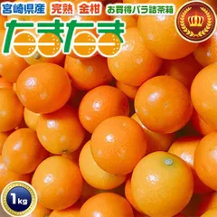 完熟 金柑 たまたま L～3Lサイズ 約1Kg 家庭用｜キンカン 生食用【宮崎県産】皮ごと食べられるきんかん 高級フルーツ お供え ご家庭用 お試し
