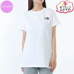 新品 THE NORTH FACE Kids ザ ノースフェイス キッズ NF0A8EFNFN41 TEEN BOX NSE REG SS TEE ロゴ Tシャツ 大人もOK