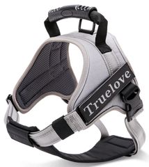 Item thumbnail for item 22aab8f0-731a-45d6-b482-fad32e618155