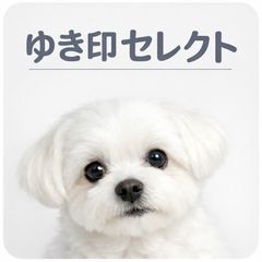 ワイエム系 魔王城の料理番 公式同人誌 調理部隊の日常 - メルカリ