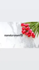 mamekoromami様専用♡