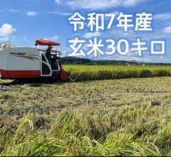 令和7年産 福岡県産 夢つくし 玄米 30キロ 農家直送 - メルカリ