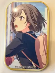 プロジェクトセカイ 絵名 缶バッジ