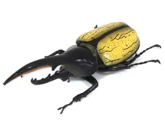 【中古】食玩 トレーディングフィギュア 01.ヘラクレスオオカブト 「世界昆虫大百科 第2弾 世界のカブトムシ＆クワガタ」