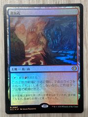 FOIL】草むした墓/Overgrown Tomb MTG日本語ショックランド - メルカリ