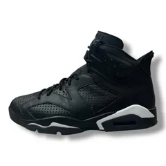 NIKE AIR JORDAN 6 RETRO BLACK CAT ブラックキャット ナイキ 384664-020 ブラック 30 30cm （7822M）