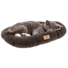 Item thumbnail for item be39fbbc-7fa2-4dcc-b31f-d20d8062d3cf