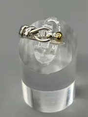 2026年最新】ティファニー ラブノット リングの人気アイテム - メルカリ