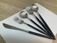 新品　コストコ　クチポールゴア　カトラリー5本セット