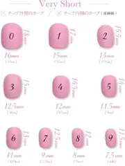 【24時間以内発送】計測用チップ ベリーショート
