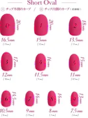 【24時間以内発送】計測用チップ ショートオーバル