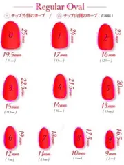 【24時間以内発送】計測用チップ レギュラーオーバル