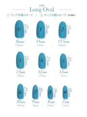 【24時間以内発送】計測用チップ ロングオーバル